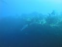 DSC00627.JPG