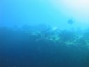 DSC00629.JPG