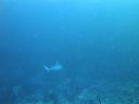 DSC00635.JPG