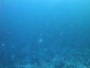DSC00636.JPG