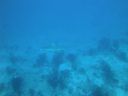 DSC00637.JPG