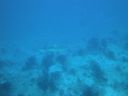 DSC00638.JPG