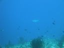 DSC00639.JPG