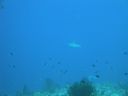 DSC00640.JPG