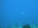 DSC00641.JPG