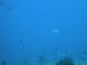 DSC00642.JPG