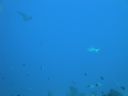 DSC00643.JPG