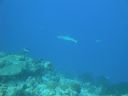 DSC00648.JPG