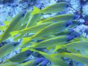 DSC00649.JPG