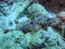 DSC00650.JPG