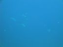 DSC00651.JPG