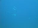 DSC00652.JPG