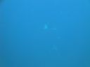 DSC00653.JPG