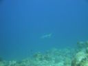 DSC00654.JPG