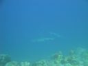 DSC00655.JPG