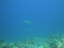 DSC00660.JPG