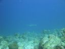 DSC00662.JPG