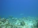 DSC00663.JPG