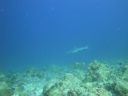 DSC00665.JPG