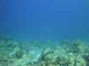 DSC00666.JPG