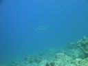 DSC00668.JPG
