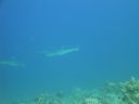 DSC00669.JPG