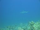 DSC00672.JPG