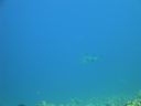 DSC00673.JPG