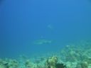 DSC00676.JPG