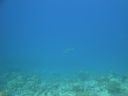 DSC00680.JPG