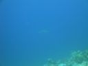 DSC00681.JPG