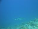 DSC00682.JPG