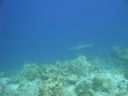 DSC00683.JPG