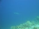 DSC00685.JPG