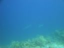 DSC00688.JPG