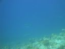 DSC00694.JPG