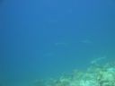 DSC00695.JPG