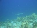 DSC00697.JPG