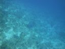 DSC00703.JPG