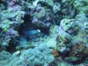 DSC00704.JPG