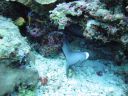 DSC00705.JPG