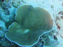 DSC00713.JPG