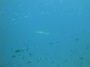 DSC00715.JPG