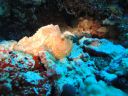 DSC00720.JPG