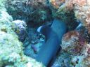 DSC00722.JPG