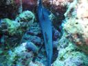 DSC00723.JPG