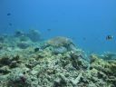 DSC00724.JPG