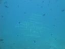 DSC00735.JPG