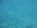 DSC00736.JPG