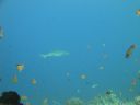 DSC00751.JPG